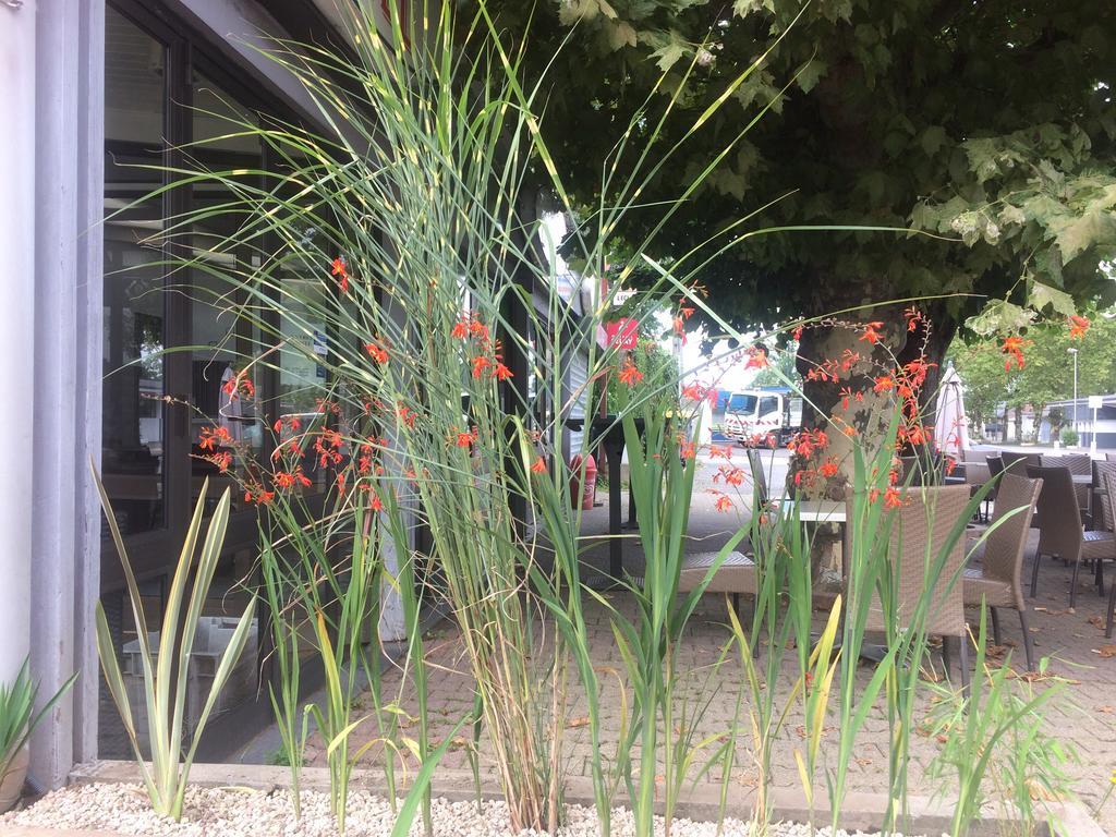 La Hourquie Cafe Hotel Morlaas Exterior foto